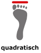 Fußtyp_quadratisch