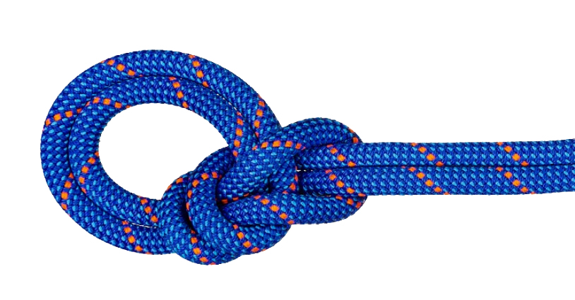 Mammut Crag Dry Rope 9.5 - Kletterseil