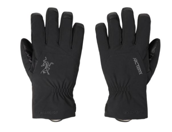 Arcteryx Venta GTX Glove - Handschuhe günstig online kaufen
