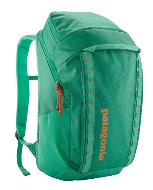 Patagonia Black Hole® Pack 32L - Rucksack günstig online kaufen