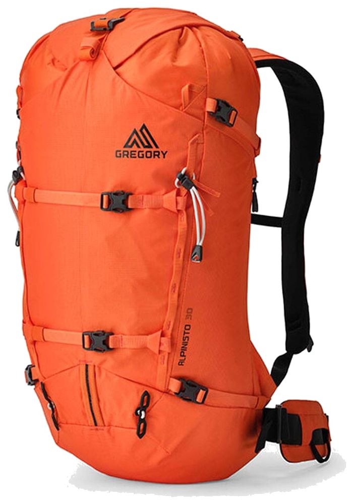 Gregory Alpinisto 30 - Tourenrucksack