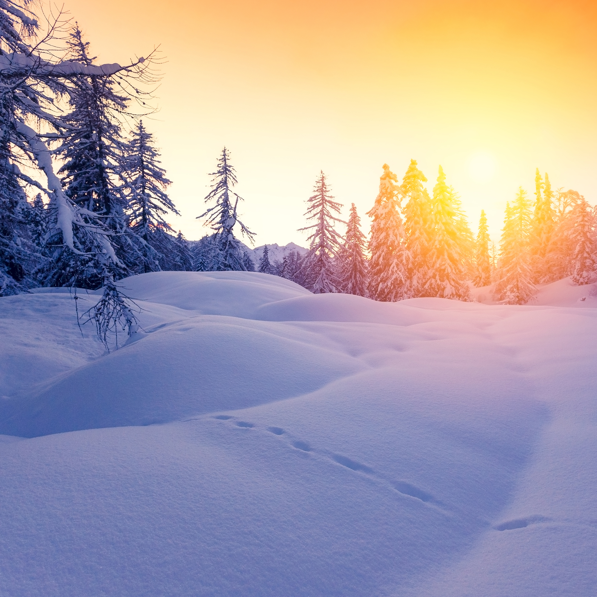 Wintersonne oder Sommerlicht – Deine Haut bleibt geschützt