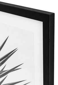 4251549300120 - Luxus Druck Set PalmenblÃ¤tter 745 x H 1045 cm - Luxus Bilder & Accessoires