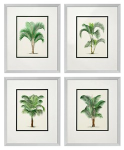 4251549330417 - Bilder   Kunstdruck 4er Set Palmen Mehrfarbig 43 x H 53 cm - Luxus Deko
