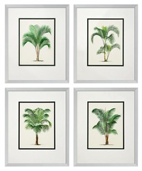 4251549330417 - Bilder   Kunstdruck 4er Set Palmen Mehrfarbig 43 x H 53 cm - Luxus Deko