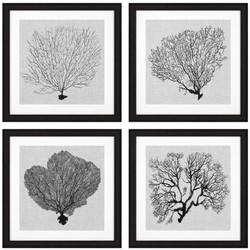 4251549339137 - Bilder 4er Set Seefarn Schwarz   WeiÃ   Grau 615 x H 615 - Luxus Kunstdrucke mit Holzrahmen