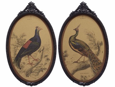 4251549346807 - Barock Wandbilder Set VÃ¶gel Mehrfarbig   Schwarz 38 x H 637 cm - Kork Bilder mit Polyresin Rahmen im Barockstil