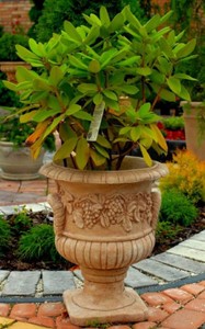 4251549360414 - Barock Blumentopf Beige Ã 44 x H 51 cm - BlumenkÃ¼bel - PflanzkÃ¼bel - Gartendeko Accessoires