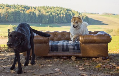 Casa Padrino letto per cani di lusso ocra / marrone scuro / ocra 65 x 55 x  A.