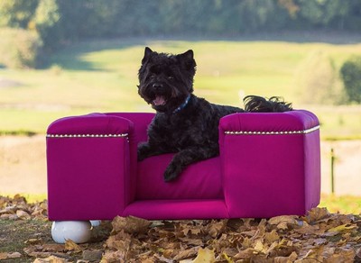 Casa Padrino letto per cani Chesterfield di lusso in pelle marrone vintage  / marrone scuro / bianco / nero