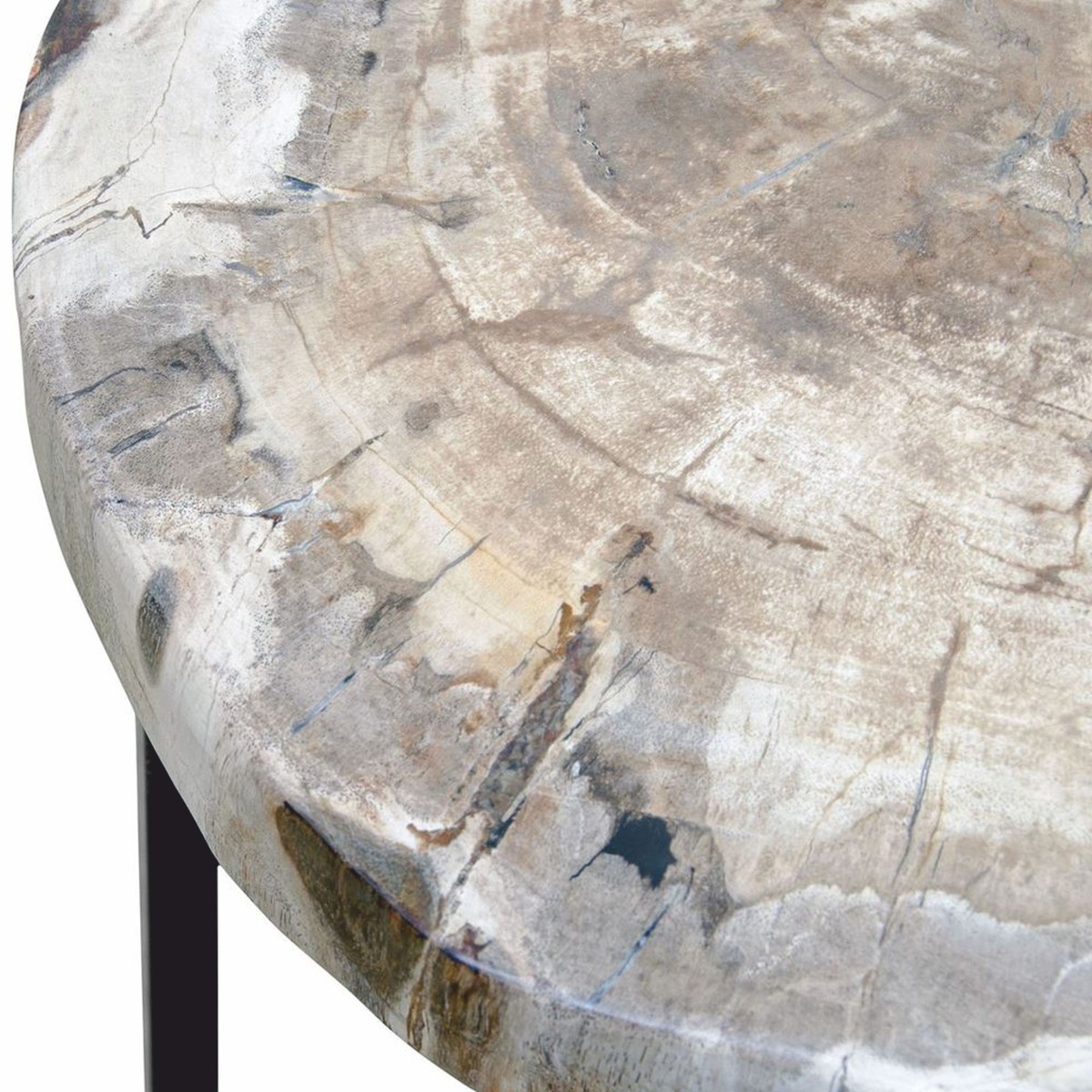 Casa Padrino Luxury Side Table With Petrified Wood Table Top H Cm