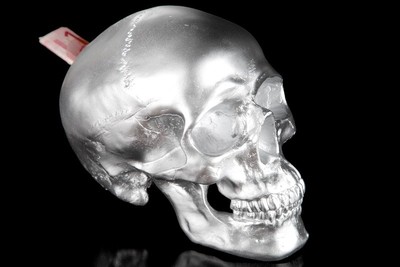 4250828300547 - Designer Spardose Skull silber HÃ¶he 14 cm Breite 14 cm Tiefe 20 cm Totenkopf - edle Skulptur aus Polyresin