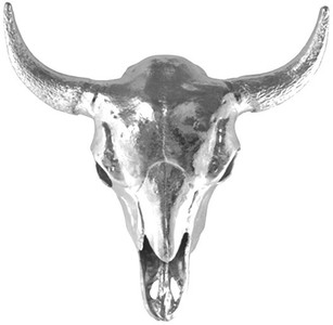 4250828319822 - Designer Geweih Aluminium Stier Rodeo Massiv & Schwer Alu Dekoration Wandgeweih Wandfigur Wanddekoration