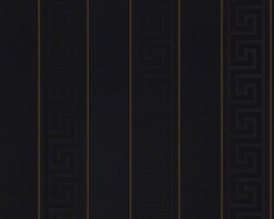 4250828321191 - Designer Barock Tapete Home Collection 935244 Jugendstil Vliestapete Vlies Tapete Nadelstreifen Schwarz 4250828321191 - Designer Barock Tapete Home Collection 935244 Jugendstil Vliestapete Vlies Tapete Nadelstreifen Schwarz