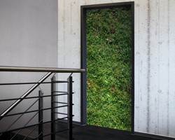 4250828323485 - Tür 20 XXL Wallpaper für Türen 20027 Grassland - selbstklebend- Blickfang für Ihr zu Hause - Tür Aufkleber Tapete Fototapete FotoTür 20 XXL Vintage Antik Stil Retro Wallpaper Fototapete 4250828323485 - Tür 20 XXL Wallpaper für Türen 20027 Grassland - selbstklebend- Blickfang für Ihr zu Hause - Tür Aufkleber Tapete Fototapete FotoTür 20 XXL Vintage Antik Stil Retro Wallpaper Fototapete