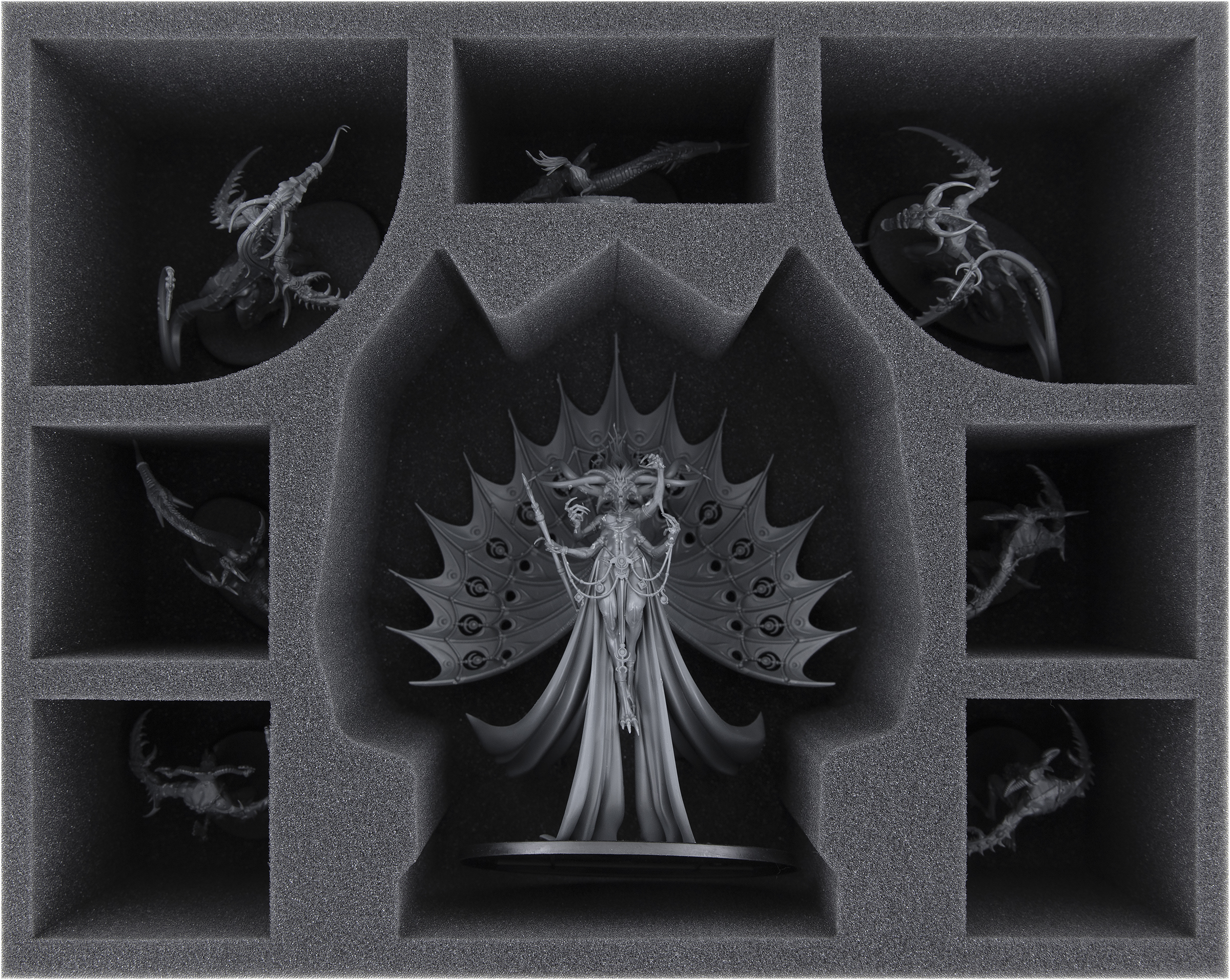 FSMFDW105BO Feldherr foam tray for Hedonites of Slaanesh - Dexcessa, the  Talon of Slaanesh | Feldherr Figure Cases free european shipping available  I 