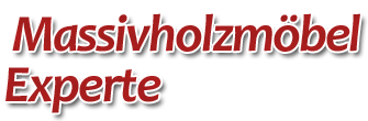 Experte logo