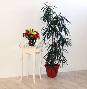 Massivholz Ecktisch mit schublade 39x80x39cm VENEZIA Pappel massiv creme Casa de mobila Goslar Massivholz Ecktisch mit schublade 39x80x39cm VENEZIA Pappel massiv creme Casa de mobila Goslar