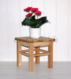 Blumentisch Blumenhocker 32x32x32cm ANTON Buche Kernbuche massiv geölt casademobila Blumentisch Blumenhocker 32x32x32cm ANTON Buche Kernbuche massiv geölt casademobila