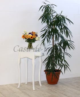 Massivholz Blumentisch mit gebogene beine 39x80x39cm VENEZIA Pappel massiv weiß antik Shabby Chic Casa de mobila Goslar Massivholz Blumentisch mit gebogene beine 39x80x39cm VENEZIA Pappel massiv weiß antik Shabby Chic Casa de mobila Goslar