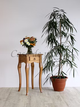 Massivholz Blumenhocker 39x80x39cm VENEZIA Pappel massiv Bernsteinfarben lackiert Casa de mobila Goslar Massivholz Blumenhocker 39x80x39cm VENEZIA Pappel massiv Bernsteinfarben lackiert Casa de mobila Goslar