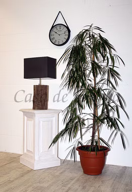 edle dekoständer holz Landhaus höhe 70 cm PINEA Pinie massiv weiss casademobila Goslar