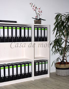 Massivholz Aktenregal mit Rückwand weiß kiefernholz massiv CONTRA casademobila Goslar kaufen Massivholz Aktenregal mit Rückwand weiß kiefernholz massiv CONTRA casademobila Goslar kaufen