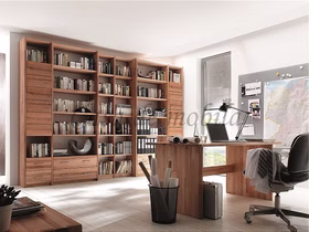 Vollholz Bücherwand bibliothek regal holz CONTRA buche Kernbuche massiv casademobila