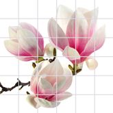 Fliesenbild Magnolie, AMZ-Fliesenbild 1-1