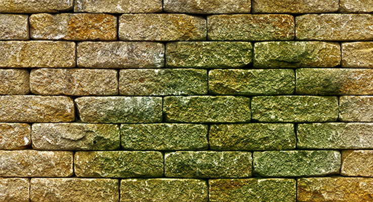 Grünbelag auf Sandsteinmauer