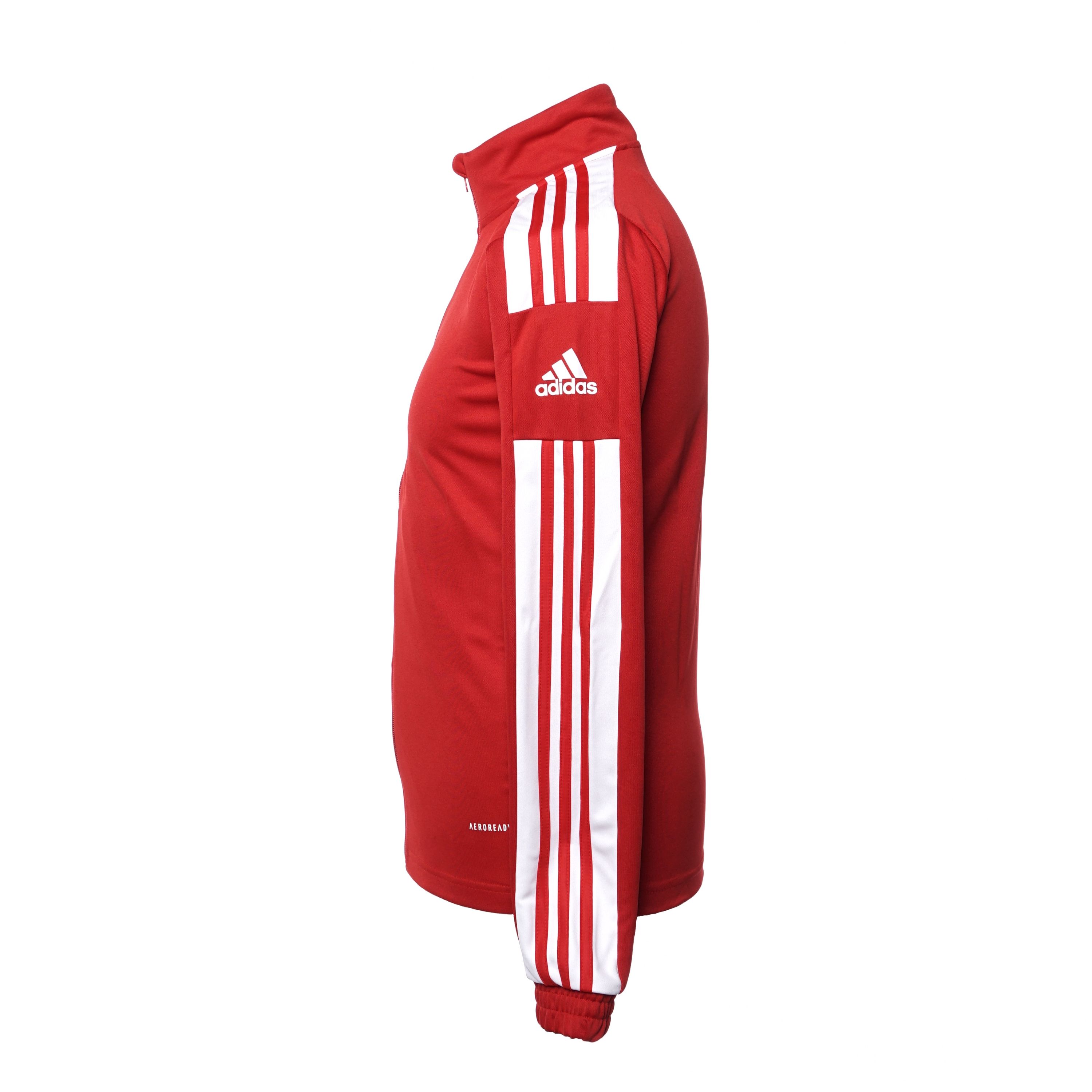 adidas sq21 tr jkt
