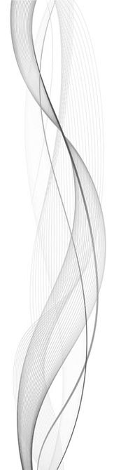 Schiebegardine HEIGHTS in Bambus-Optik Grau 260x60cm - VISION S