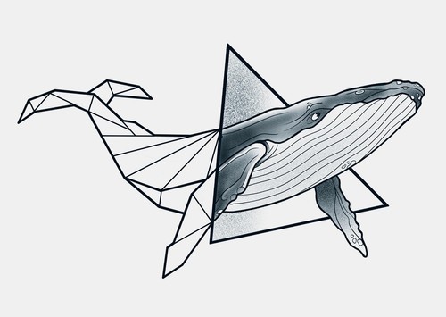 Triangle Whale