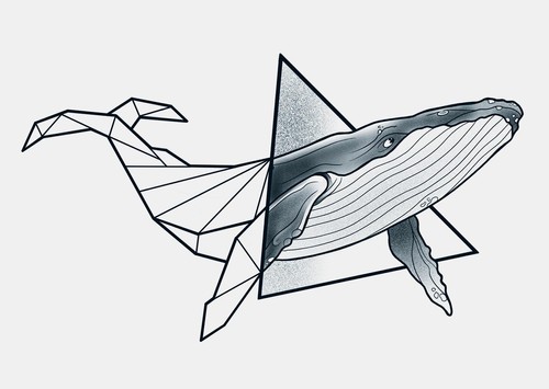 Triangle Whale 