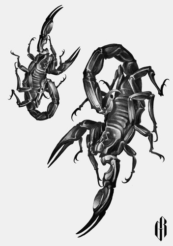 Scorpion