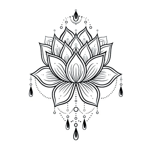 Blooming Lotus Blooming Lotus