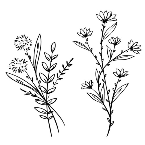 Wild Flowers #2