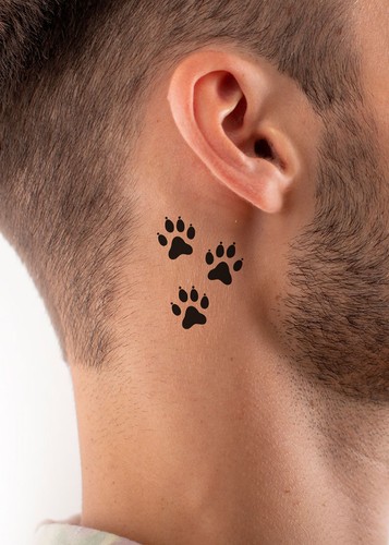 Paw Prints