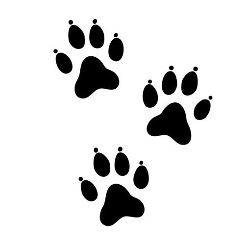Paw Prints
