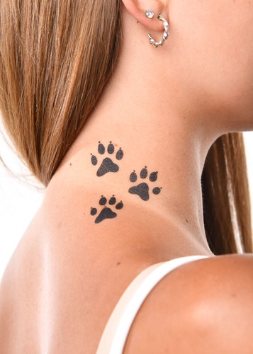 Paw Prints Paw Prints