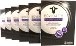 Bovikalc-P.JPG