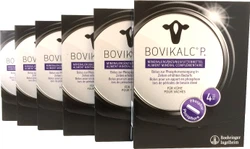 Bovikalc® P. 6 x 4 Boli - Vorteilspack - Phosphorbolus mit Monokalziumphosphat