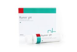 Rumin® pH 4 Bolus – 100 g – Milchkühe