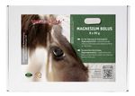 Bolus-Verpackung-Magnesium-.jpg