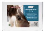 Bolus-Verpackung-Phos.jpg