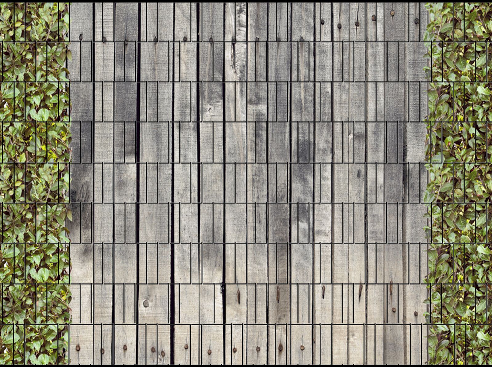 Sichtschutz HOLZWAND & KIRSCHLORBEER | SSS24