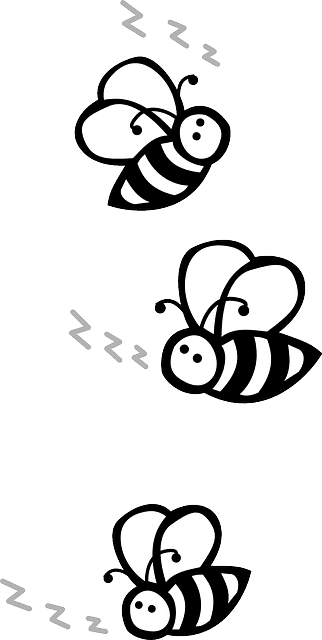 Bienen Lebendfalle