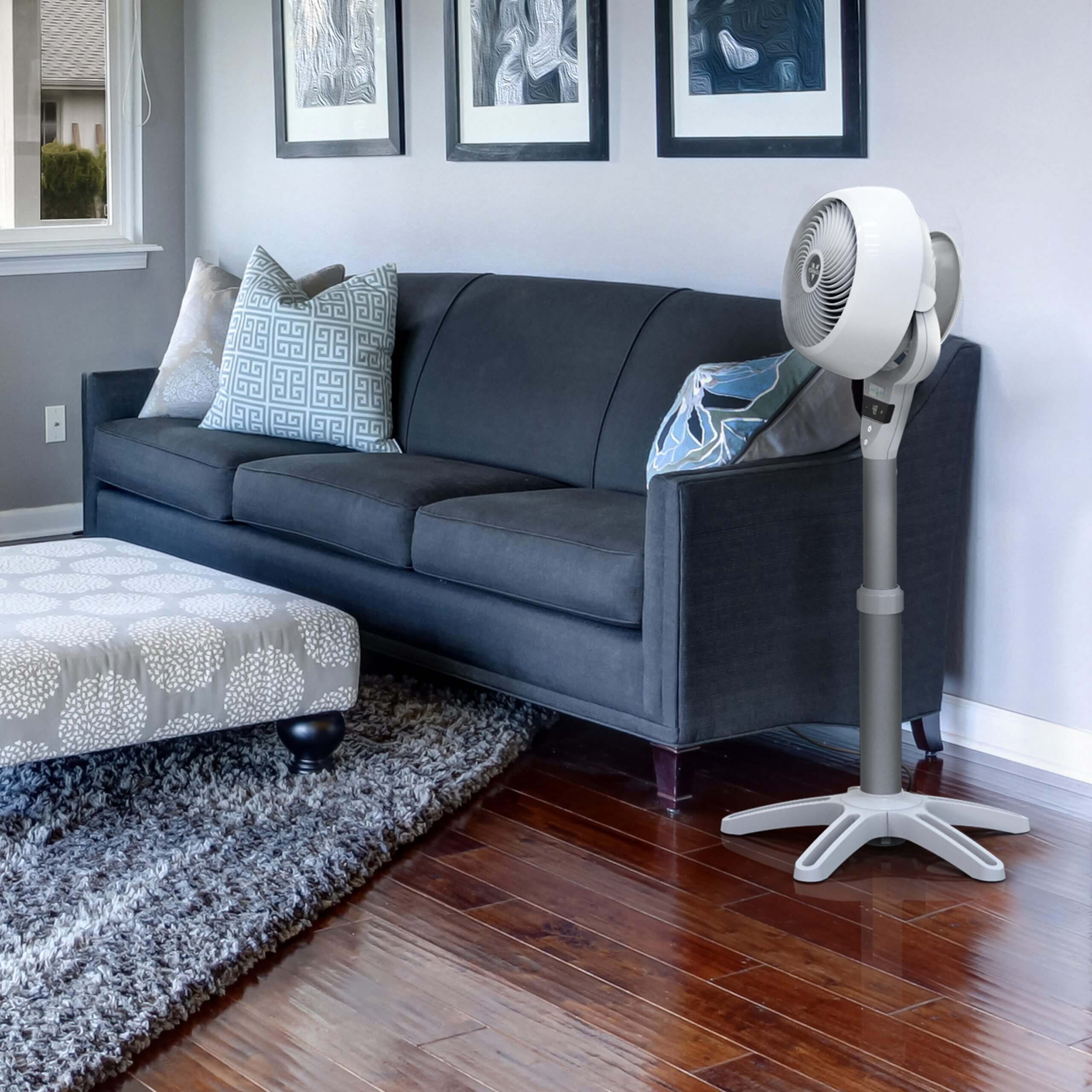 Pedestal fan Air circulator Vornado 