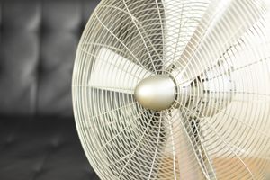 Stadler Form Bodenventilator Charly little mit Oszillation