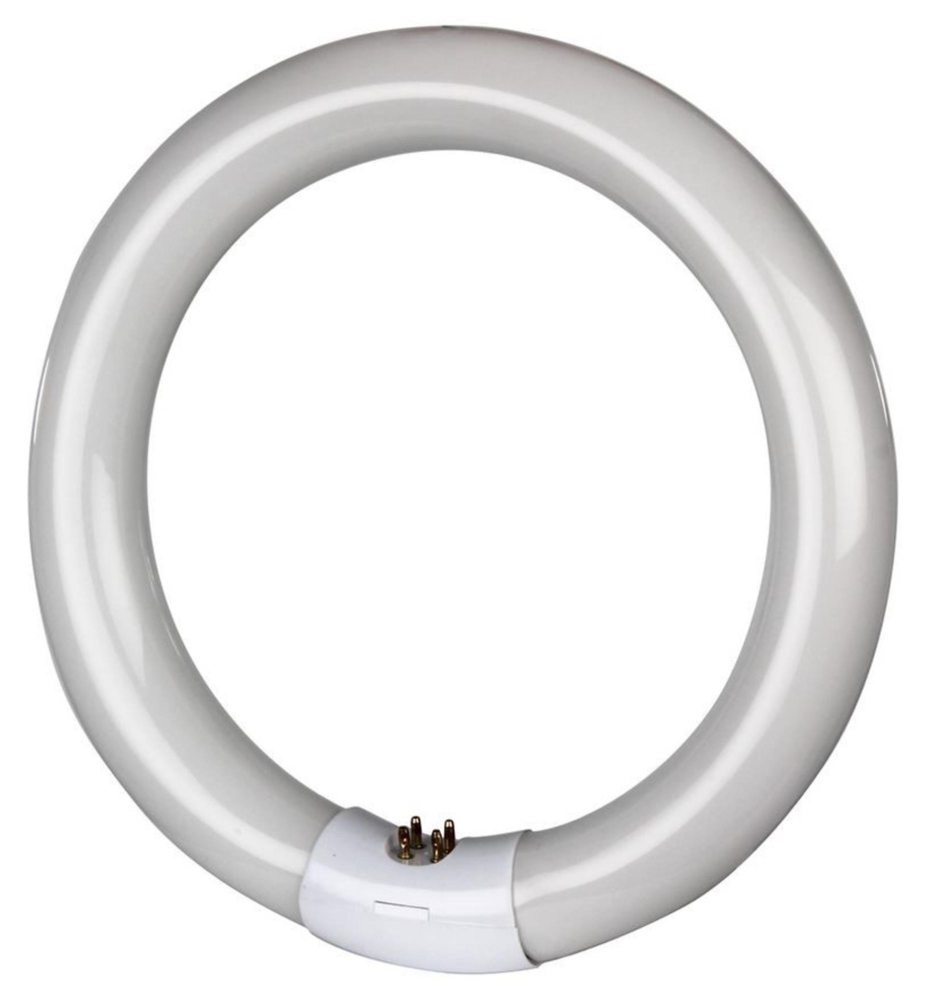 TUBE DE REMPLACEMENT 8W POUR DESTRUCTEUR D'INSECTES